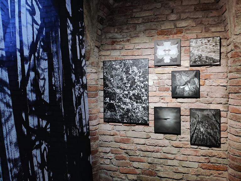 A Single Moment / ArtCity 2024 – immagine 5