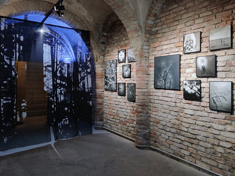 A Single Moment / ArtCity 2024 – immagine 6