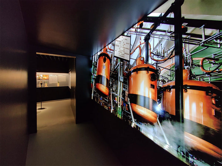 Luxardo Museum – image 12
