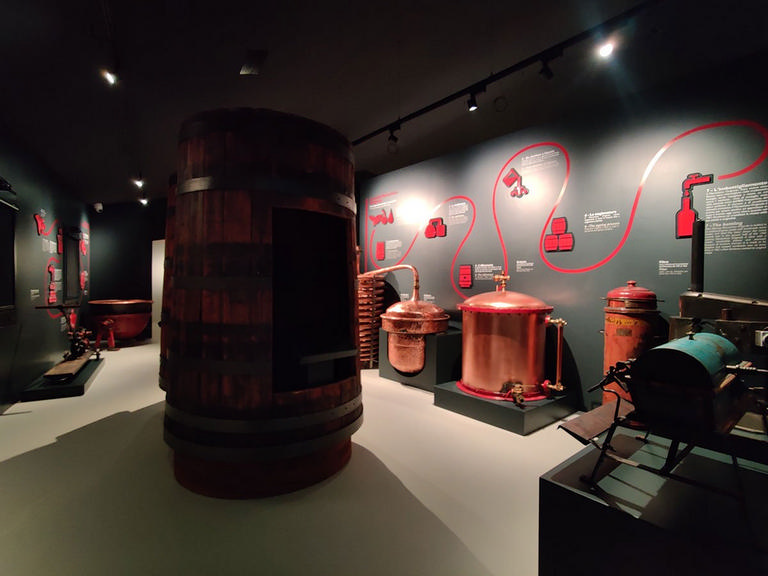 Luxardo Museum – image 13