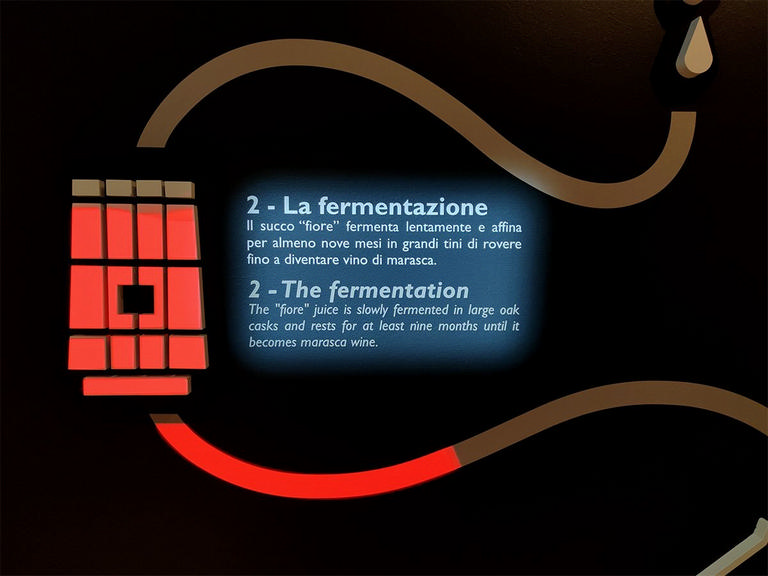 Luxardo Museum – image 6