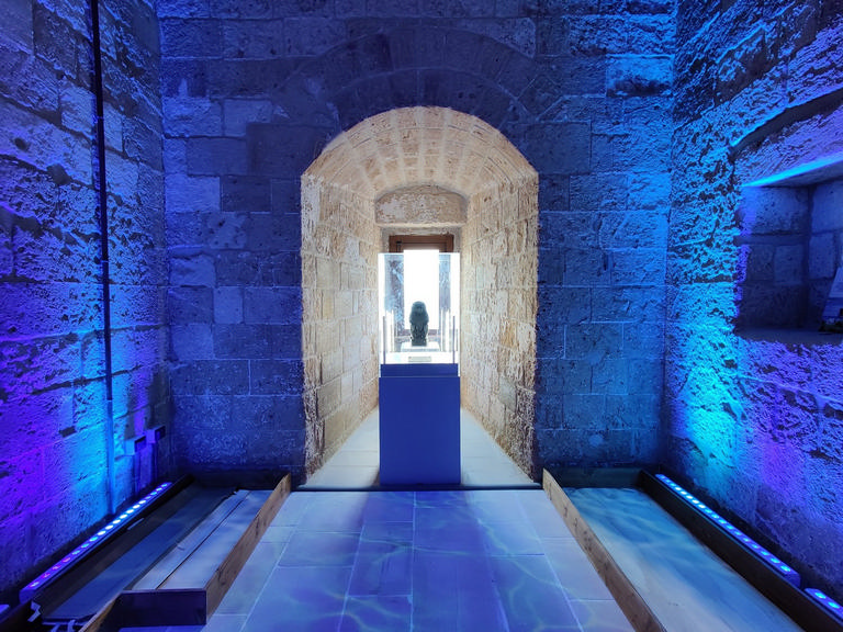 Museo del Mare di Porto Cesareo – immagine 3