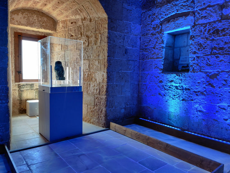 Museo del Mare di Porto Cesareo – immagine 4