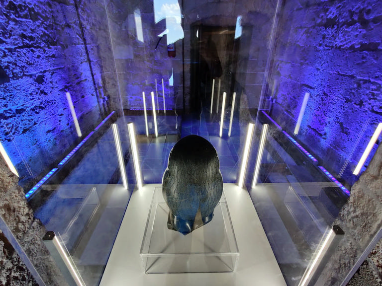 Museo del Mare di Porto Cesareo – immagine 2