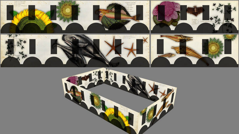 UNIBO - piazza Scaravilli – immagine 9